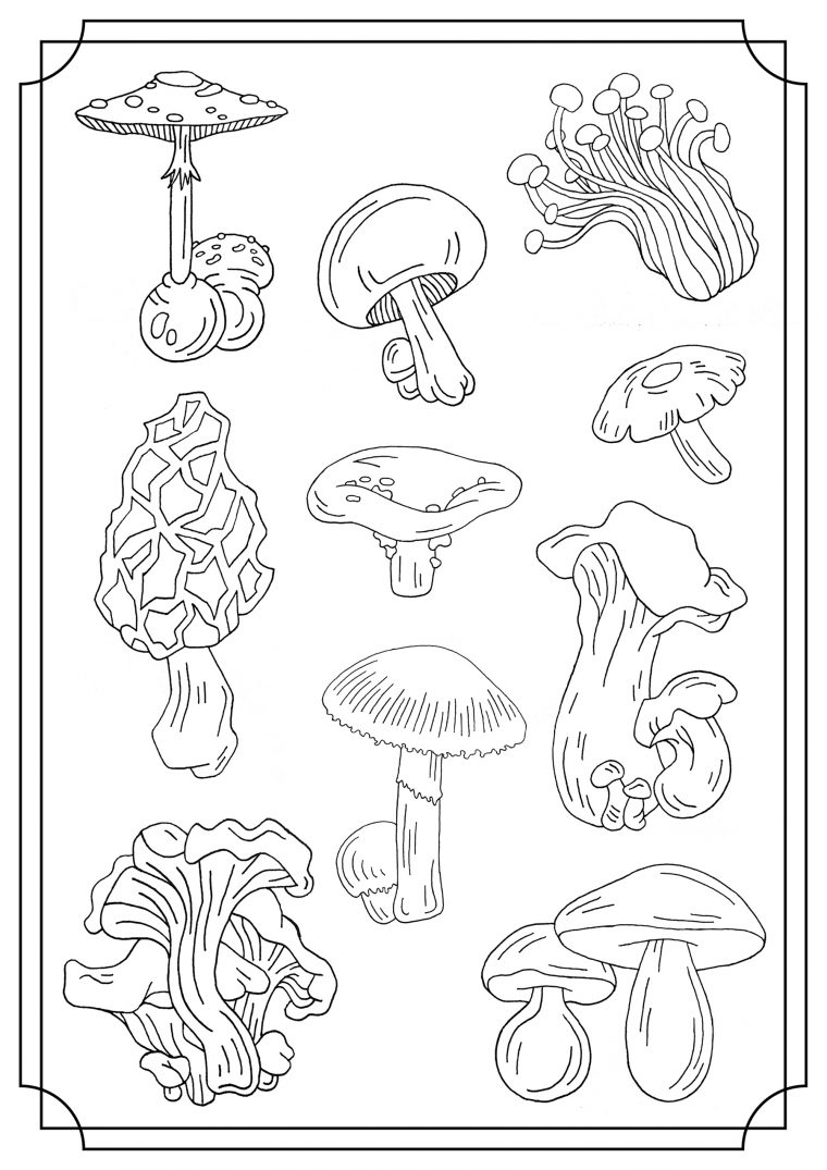 realistic mushroom coloring pages