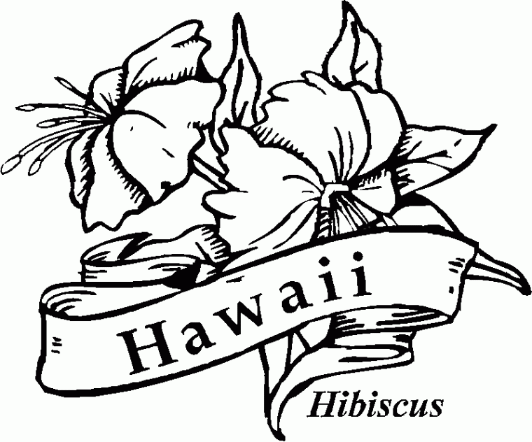 hawaiian flowers coloring pages
