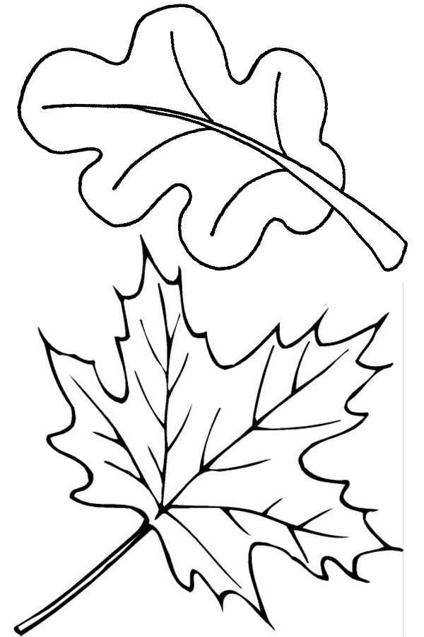 tree leaves coloring pages