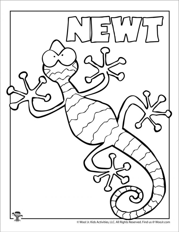 newt coloring page