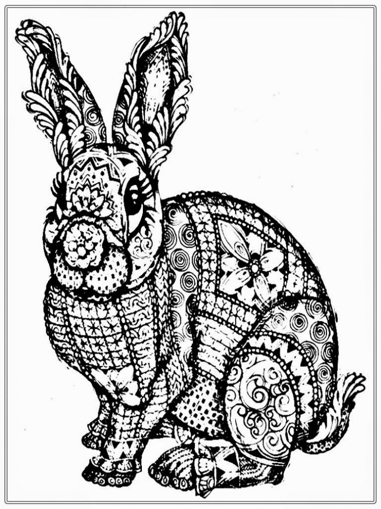 realistic rabbit coloring pages