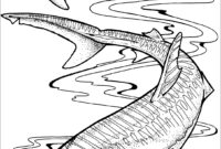 shark color sheets shark color sheets