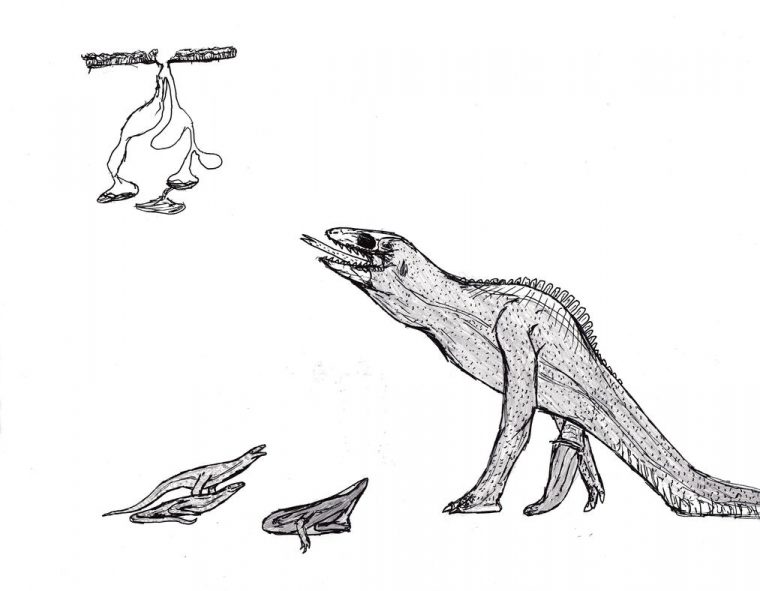 printable skull crawler coloring pages