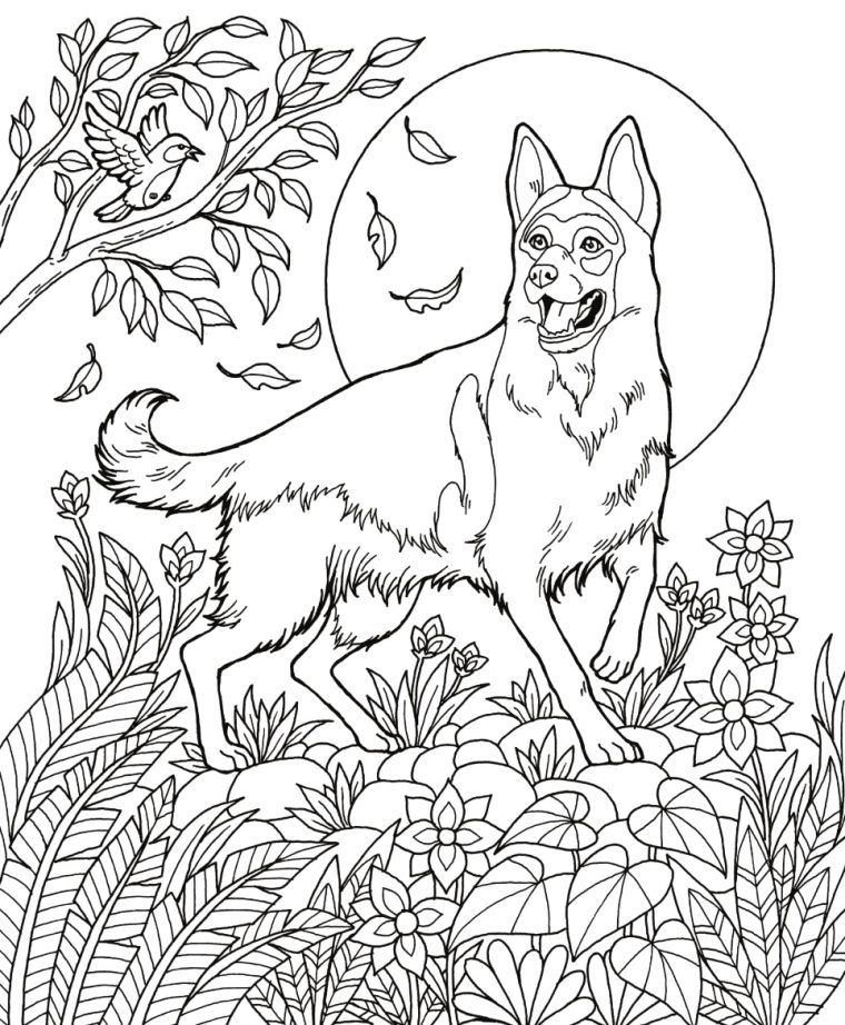 german shepard coloring page german shepard coloring page