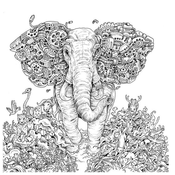 wondermorphia coloring pages wondermorphia coloring pages