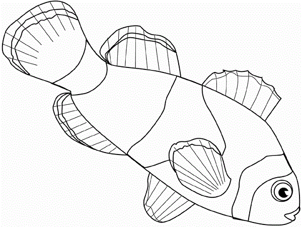 clownfish coloring pages