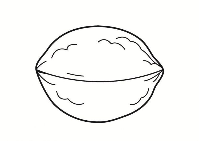 nuts coloring page nuts coloring page