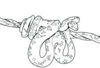 realistic snake coloring pages realistic snake coloring pages