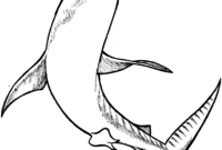 coloring sharks coloring sharks