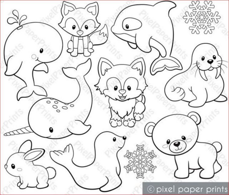 artic animals coloring pages