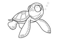 sea turtle printable