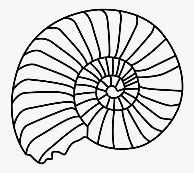 fossil coloring page