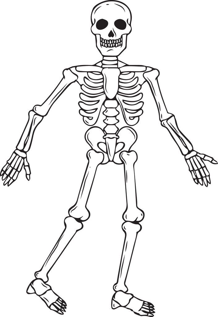 easy skeleton coloring pages