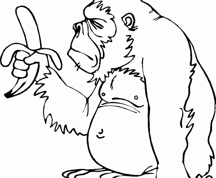 grumpy monkey coloring page