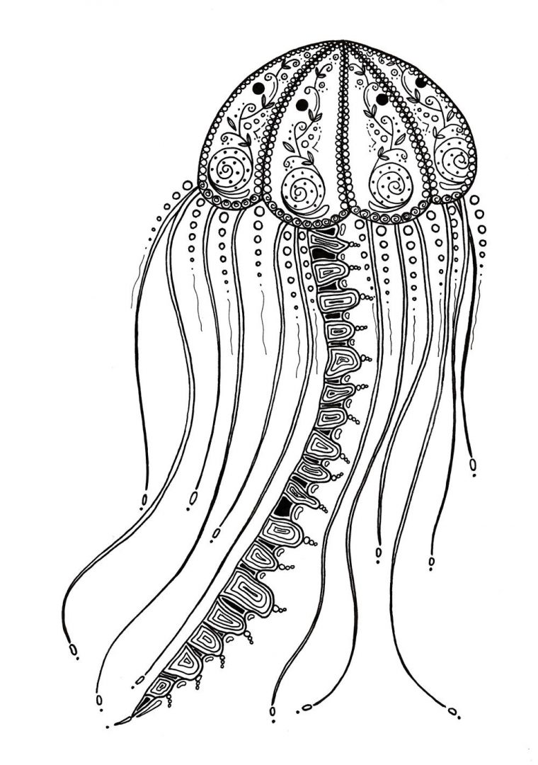jellyfish coloring pages printable