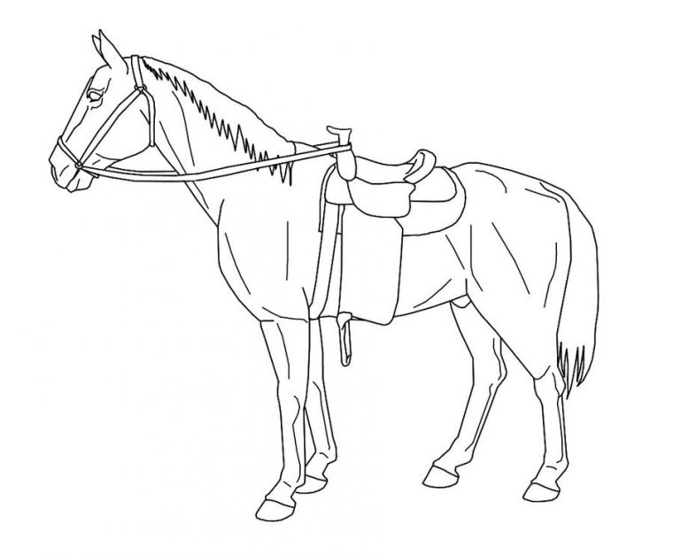 horse tack coloring pages