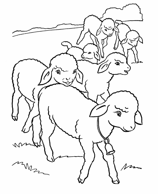 free sheep coloring pages