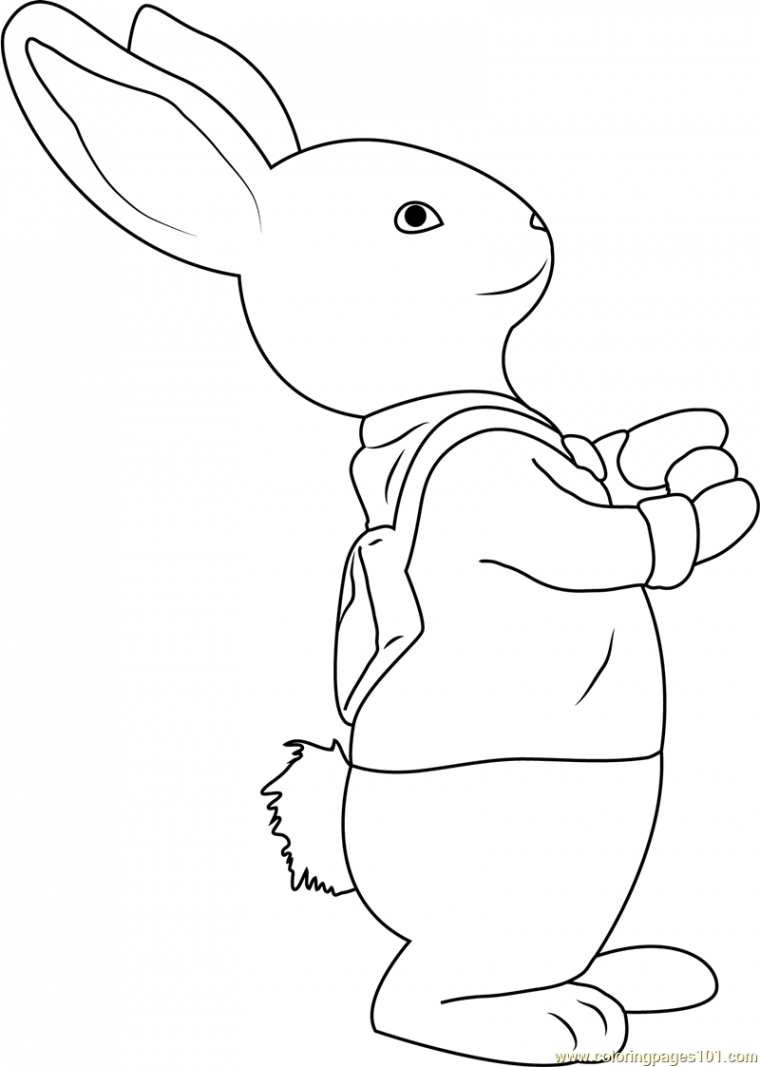 peter rabbit color pages