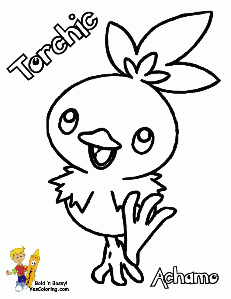 torchic coloring page