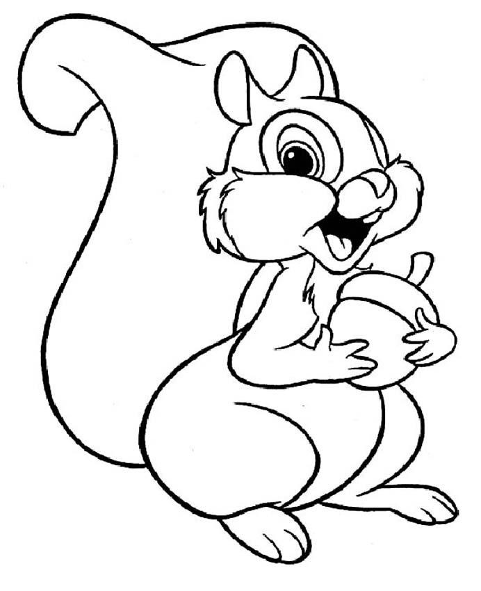 squirell coloring page