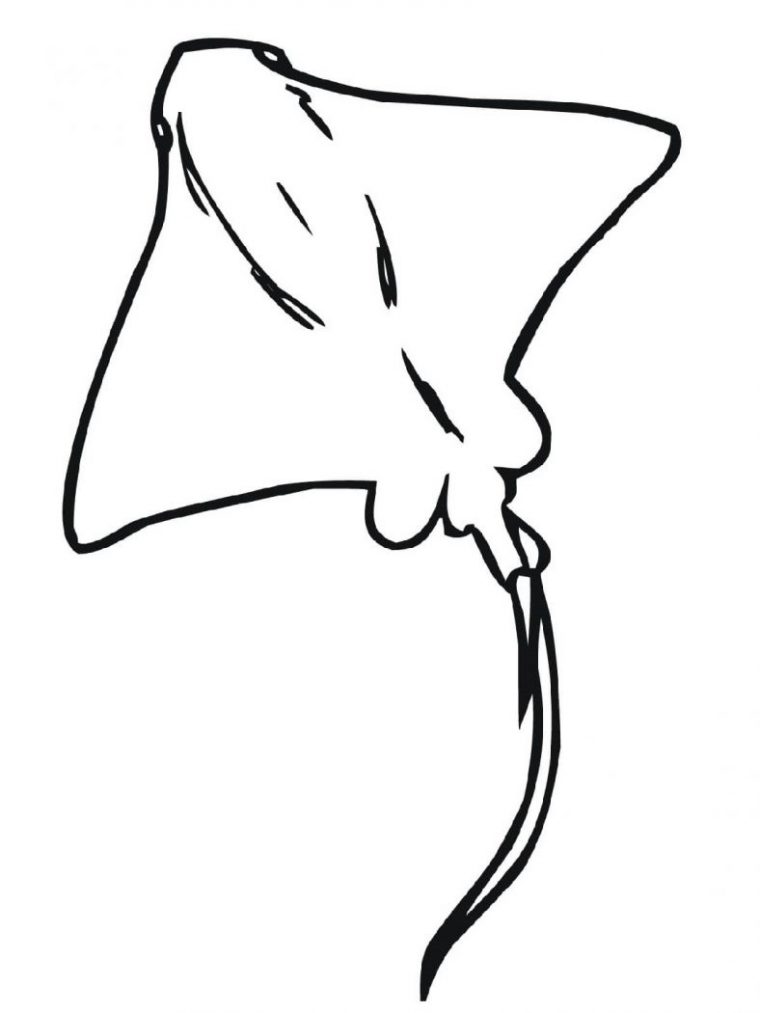 sting ray coloring page