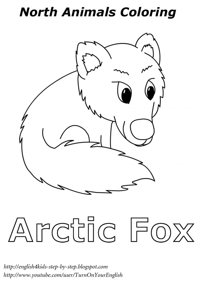 arctic animal coloring page