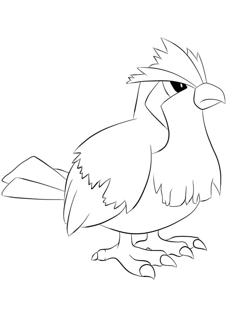 pidgeot coloring page