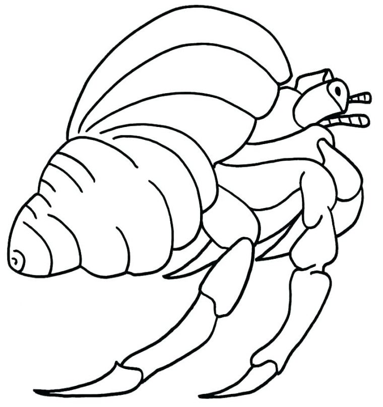 hermit crab coloring pages