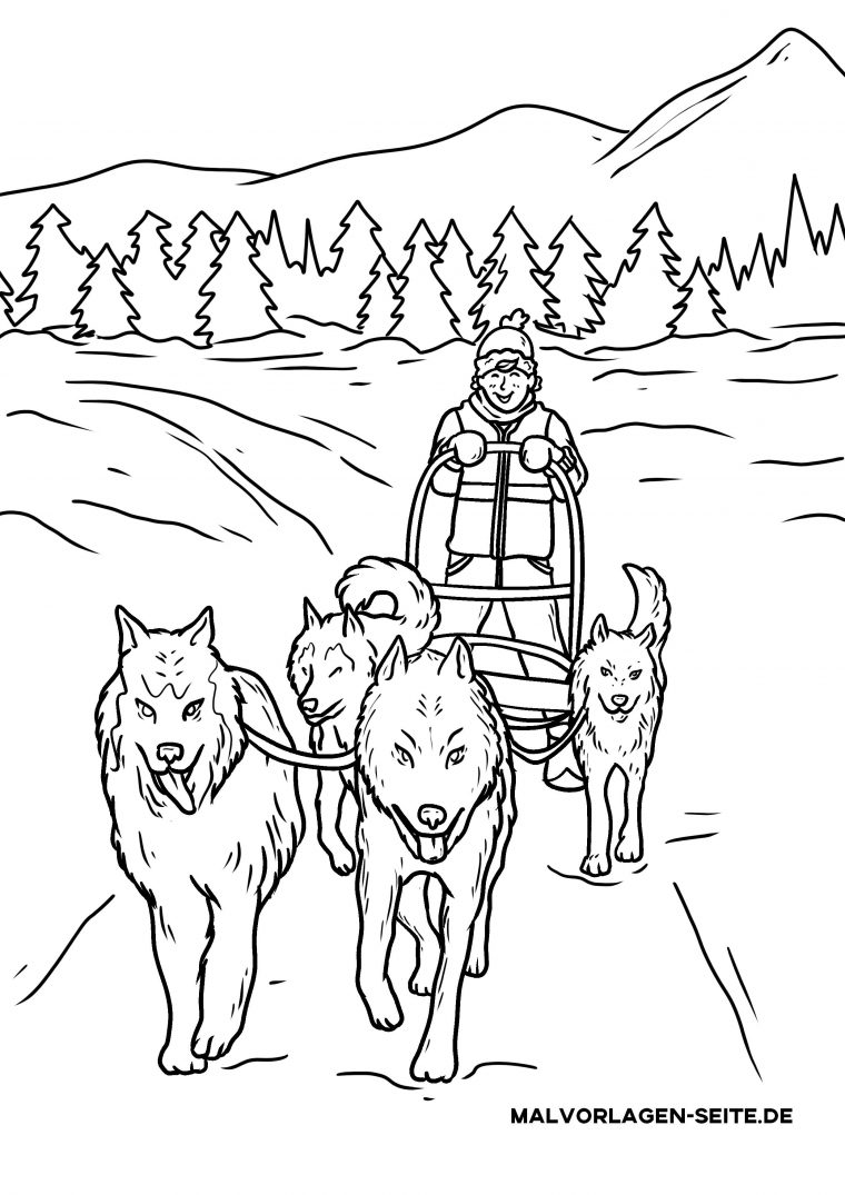dog sled coloring pages