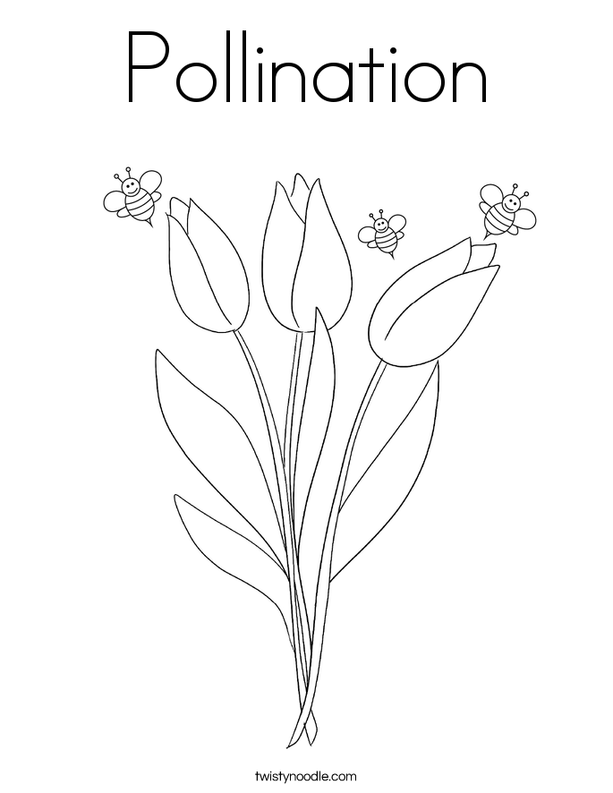 pollinator coloring pages