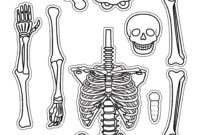 skeleton template printable skeleton template printable