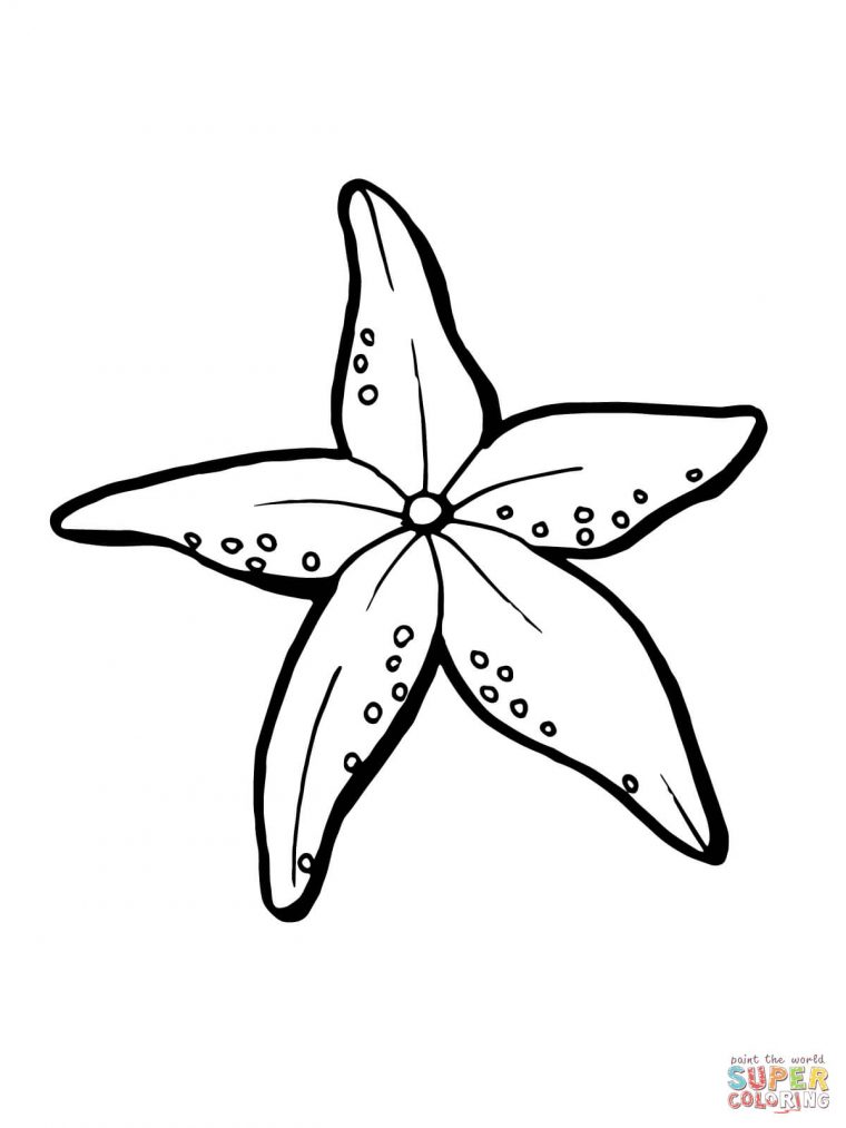 starfish printable coloring pages
