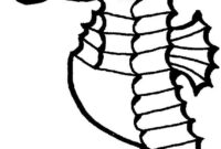 seahorse color pages