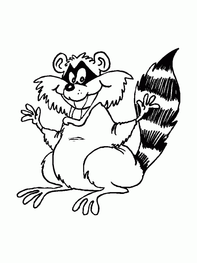 raccoon coloring page free