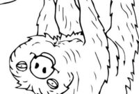 sloth colouring pictures sloth colouring pictures
