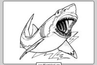 printable picture of a shark