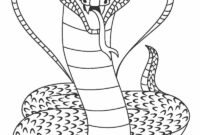 snake coloring book