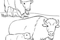 yellowstone coloring page yellowstone coloring page