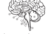 ask a biologist coloring page answers ask a biologist coloring page answers