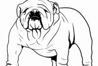 coloring pages bulldog coloring pages bulldog