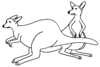 coloriage kangourou mandala