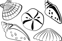 sea shells coloring