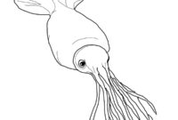 antarctica coloring pages