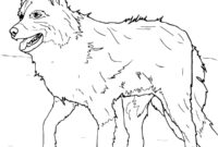 australian shepherd coloring page