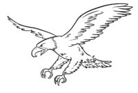 bald eagle coloring page