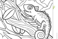 free printable camo coloring pages