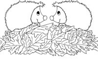 coloriage herisson imprimer gratuit