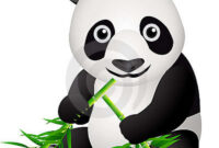 dessin amphinobi en couleur dessin amphinobi en couleur