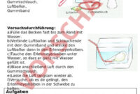 wie funktioniert die schwimmblase bei fischen wie funktioniert die schwimmblase bei fischen