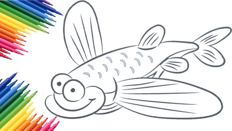 flying fish coloring page